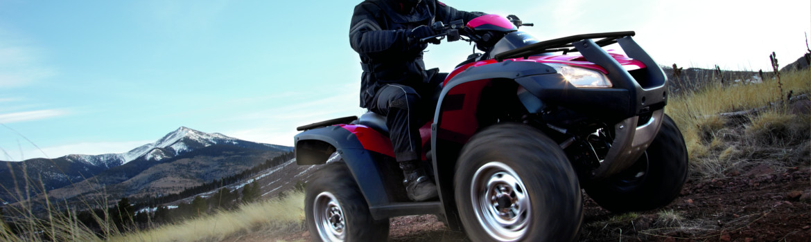 2017 Honda Trax for sale in Sturgess Cycle, Hamilton, Ontario